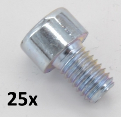 Zylinderschrauben DIN 912 M5x10, verzinkt (25 Stck)