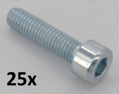Zylinderschrauben DIN 912 M5x25, verzinkt (25 Stck)